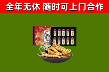 崇仁烟酒回收冬虫夏草礼盒.jpg